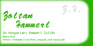 zoltan hammerl business card